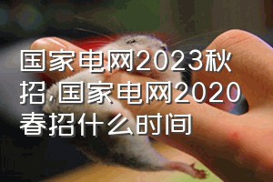 国家电网2023秋招（国家电网2020春招什么时间）