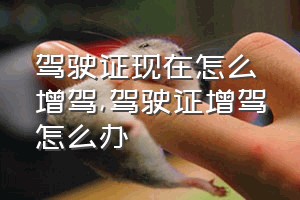 驾驶证现在怎么增驾（驾驶证增驾怎么办）