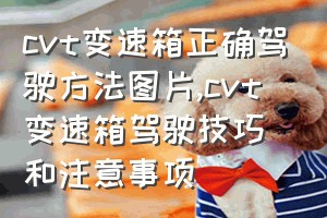 cvt变速箱正确驾驶方法图片（cvt变速箱驾驶技巧和注意事项）