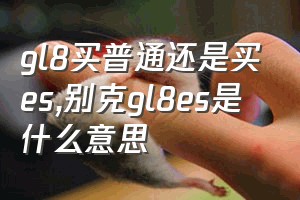 gl8买普通还是买es（别克gl8es是什么意思）