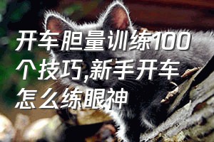 开车胆量训练100个技巧（新手开车怎么练眼神）