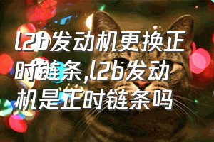 l2b发动机更换正时链条（l2b发动机是正时链条吗）