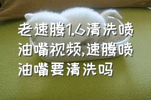 老速腾1.6清洗喷油嘴视频（速腾喷油嘴要清洗吗）