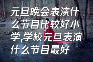 元旦晚会表演什么节目比较好小学（学校元旦表演什么节目最好）