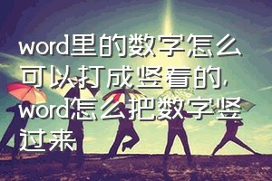 word里的数字怎么可以打成竖着的（word怎么把数字竖过来）