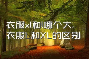 衣服xl和l哪个大（衣服L和XL的区别）