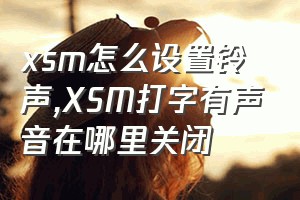 xsm怎么设置铃声（XSM打字有声音在哪里关闭）