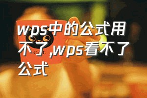 wps中的公式用不了（wps看不了公式）