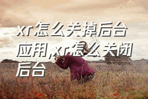 xr怎么关掉后台应用（xr怎么关闭后台）