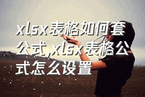 xlsx表格如何套公式（xlsx表格公式怎么设置）