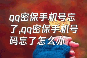 qq密保手机号忘了（qq密保手机号码忘了怎么办）