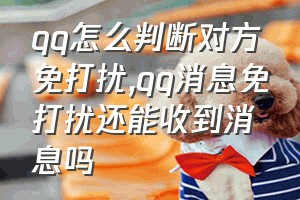 qq怎么判断对方免打扰（qq消息免打扰还能收到消息吗）