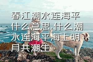 春江潮水连海平什么意思（什么潮水连海平海上明月共潮生）