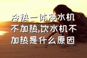 冷热一体净水机不加热（饮水机不加热是什么原因）