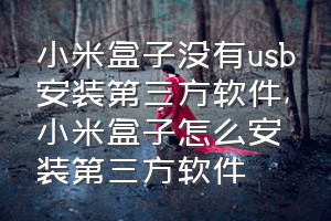 小米盒子没有usb安装第三方软件（小米盒子怎么安装第三方软件）