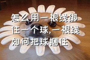 怎么用一根线绑住一个球（一根线如何把球捆住）