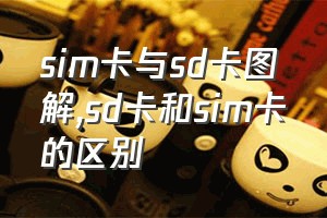 sim卡与sd卡图解（sd卡和sim卡的区别）