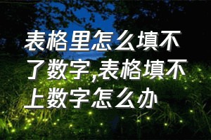 表格里怎么填不了数字（表格填不上数字怎么办）