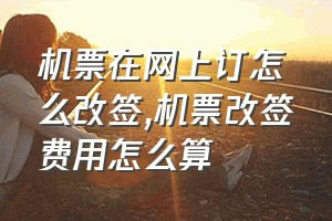 机票在网上订怎么改签（机票改签费用怎么算）