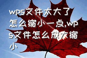 wps文件太大了怎么缩小一点（wps文件怎么放大缩小）