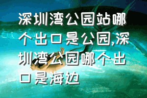 深圳湾公园站哪个出口是公园（深圳湾公园哪个出口是海边）