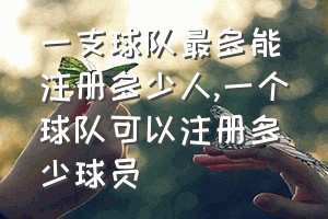 一支球队最多能注册多少人（一个球队可以注册多少球员）