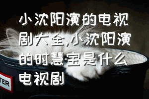 小沈阳演的电视剧大全（小沈阳演的时慧宝是什么电视剧）