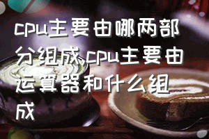 cpu主要由哪两部分组成（cpu主要由运算器和什么组成）