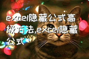 excel隐藏公式高级方法（excel隐藏公式）