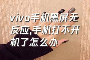 vivo手机黑屏无反应（手机打不开机了怎么办）