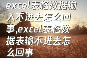 excel表格数据输入不进去怎么回事（excel表格数据表输不进去怎么回事）