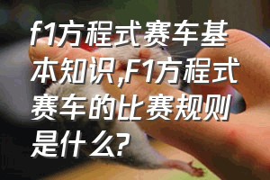 f1方程式赛车基本知识（F1方程式赛车的比赛规则是什么?）