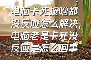 电脑卡死按啥都没反应怎么解决（电脑老是卡死没反应是怎么回事）