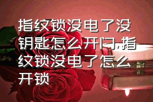 指纹锁没电了没钥匙怎么开门（指纹锁没电了怎么开锁）