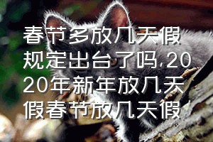 春节多放几天假规定出台了吗（2020年新年放几天假春节放几天假）