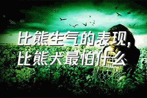 比熊生气的表现（比熊犬最怕什么）