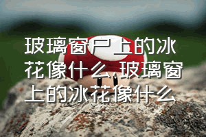 玻璃窗户上的冰花像什么（玻璃窗上的冰花像什么）