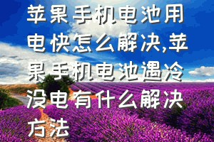 苹果手机电池用电快怎么解决（苹果手机电池遇冷没电有什么解决方法）