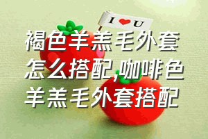 褐色羊羔毛外套怎么搭配（咖啡色羊羔毛外套搭配）