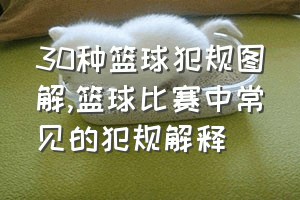 30种篮球犯规图解（篮球比赛中常见的犯规解释）