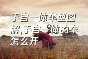 手自一体车型图解（手自一体的车怎么开）