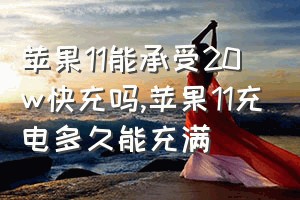 苹果11能承受20w快充吗（苹果11充电多久能充满）