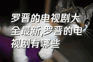 罗晋的电视剧大全最新（罗晋的电视剧有哪些）