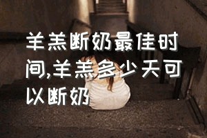 羊羔断奶最佳时间（羊羔多少天可以断奶）